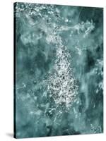 Details in Glacial Ice.-Arctic-Images-Stretched Canvas