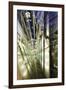 Details, Modern Architecture, Neues Kranzler Eck, KurfŸrstendamm, Kudamm-Axel Schmies-Framed Photographic Print