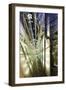 Details, Modern Architecture, Neues Kranzler Eck, KurfŸrstendamm, Kudamm-Axel Schmies-Framed Photographic Print