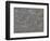 Details of beach on Saunders Island, South America, Falkland Islands-Martin Zwick-Framed Photographic Print