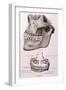 Details of Jaw and Teeth-null-Framed Art Print