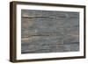 Details of Old Wood Texture-laurentiu iordache-Framed Photographic Print