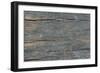 Details of Old Wood Texture-laurentiu iordache-Framed Photographic Print