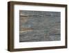 Details of Old Wood Texture-laurentiu iordache-Framed Photographic Print