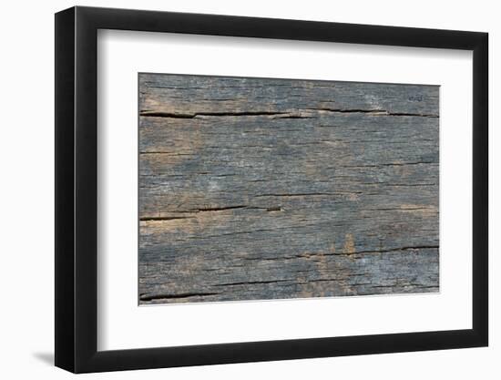 Details of Old Wood Texture-laurentiu iordache-Framed Photographic Print