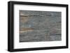 Details of Old Wood Texture-laurentiu iordache-Framed Photographic Print