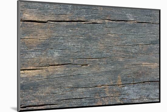 Details of Old Wood Texture-laurentiu iordache-Mounted Photographic Print