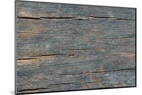 Details of Old Wood Texture-laurentiu iordache-Mounted Photographic Print