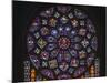 Details of stained glass, the North Rose, Chartres Cathedral, Chartres, Eure-et-Loir, France-Panoramic Images-Mounted Photographic Print