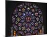 Details of stained glass, the North Rose, Chartres Cathedral, Chartres, Eure-et-Loir, France-Panoramic Images-Mounted Photographic Print