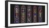 Details of stained glass, the South Rose, Chartres Cathedral, Chartres, Eure-et-Loir, France-Panoramic Images-Framed Photographic Print