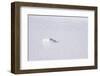 Details of the Great Salt Lake-isabela66-Framed Photographic Print