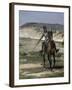 Detalle Escena Del Quijote-Jose Moreno carbonero-Framed Giclee Print