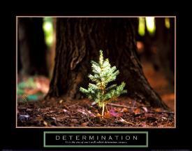 affordable motivational posters for sale at allposters com