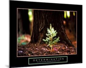 Determination: Little Pine-null-Mounted Art Print