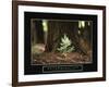 Determination - Little Pine-Unknown Unknown-Framed Photo