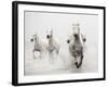 Determination-Irene Suchocki-Framed Giclee Print