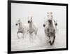 Determination-Irene Suchocki-Framed Giclee Print