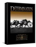 Determination-null-Framed Stretched Canvas