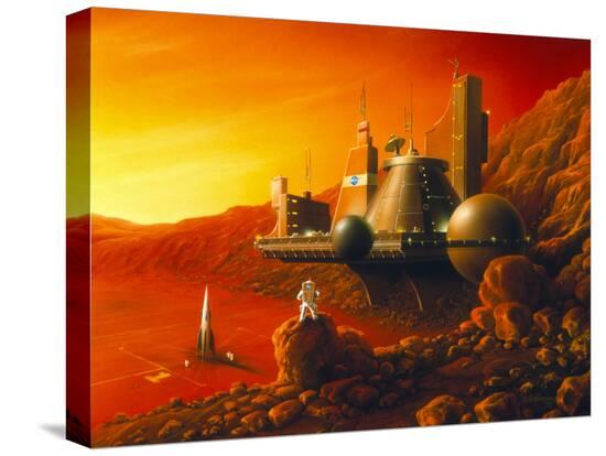Stretched Canvas Print, , large