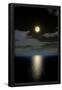 Essential Black