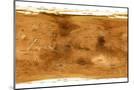 Wood Mount