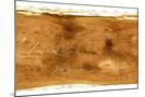 Wood Mount