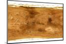 Wood Mount