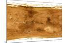 Wood Mount