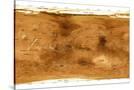 Stretched Canvas