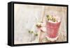 Detox Smoothie-maksheb-Framed Stretched Canvas