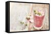 Detox Smoothie-maksheb-Framed Stretched Canvas