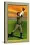 Detroit, MI, Detroit Tigers, Matty McIntyre, Baseball Card-Lantern Press-Stretched Canvas