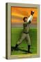 Detroit, MI, Detroit Tigers, Matty McIntyre, Baseball Card-Lantern Press-Stretched Canvas