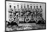 Detroit, MI, Detroit Tigers, Team Photograph, Baseball Card-Lantern Press-Mounted Art Print