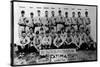 Detroit, MI, Detroit Tigers, Team Photograph, Baseball Card-Lantern Press-Stretched Canvas