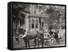 Detroit, Mich., Bi-Centenary Celebration, Floral Parade, Carriage of E. Bonner-null-Framed Stretched Canvas