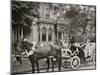 Detroit, Mich., Bi-Centenary Celebration, Floral Parade, Carriage of E. Bonner-null-Mounted Photo