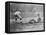 Detroit Tiger Playing Sliding into Third Base Baseball Photograph - Detroit, MI-Lantern Press-Framed Stretched Canvas