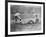 Detroit Tiger Playing Sliding into Third Base Baseball Photograph - Detroit, MI-Lantern Press-Framed Art Print