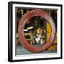 DEU SN Rassehunde Ausstellung-Matthias Rietschel-Framed Photographic Print