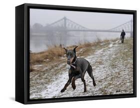 DEU SN Wetter-Matthias Rietschel-Framed Stretched Canvas