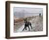 DEU SN Wetter-Matthias Rietschel-Framed Photographic Print