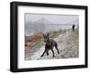 DEU SN Wetter-Matthias Rietschel-Framed Photographic Print