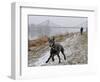 DEU SN Wetter-Matthias Rietschel-Framed Photographic Print