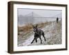 DEU SN Wetter-Matthias Rietschel-Framed Photographic Print