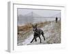 DEU SN Wetter-Matthias Rietschel-Framed Photographic Print