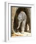 DEU Zoo Elefant-Joerg Sarbach-Framed Photographic Print