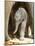 DEU Zoo Elefant-Joerg Sarbach-Mounted Photographic Print