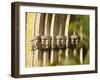 Deutschland, Niederbayern, Landshut, Stadtfriedhof, Romanisches Portal, Detail , Bayern-Thonig-Framed Photographic Print